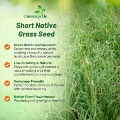Outsidepride Perennial Short Native Grass Seed Mix - 25 lbs. Premium Mix of Blue Grama, Buffalo, Sideoats Grama, & Sheep’s Fescue Grass Seeds