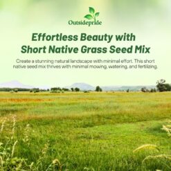 Outsidepride Perennial Short Native Grass Seed Mix - 25 lbs. Premium Mix of Blue Grama, Buffalo, Sideoats Grama, & Sheep’s Fescue Grass Seeds