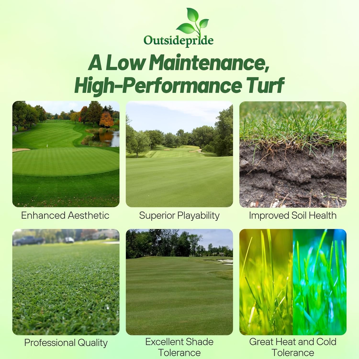 Outsidepride Crystal Bluelinks Creeping Bent Grass Seed - 25 lbs. Dense Turf Grass