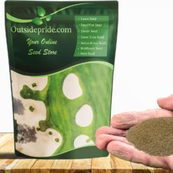 Outsidepride Crystal Bluelinks Creeping Bent Grass Seed - 25 lbs. Dense Turf Grass