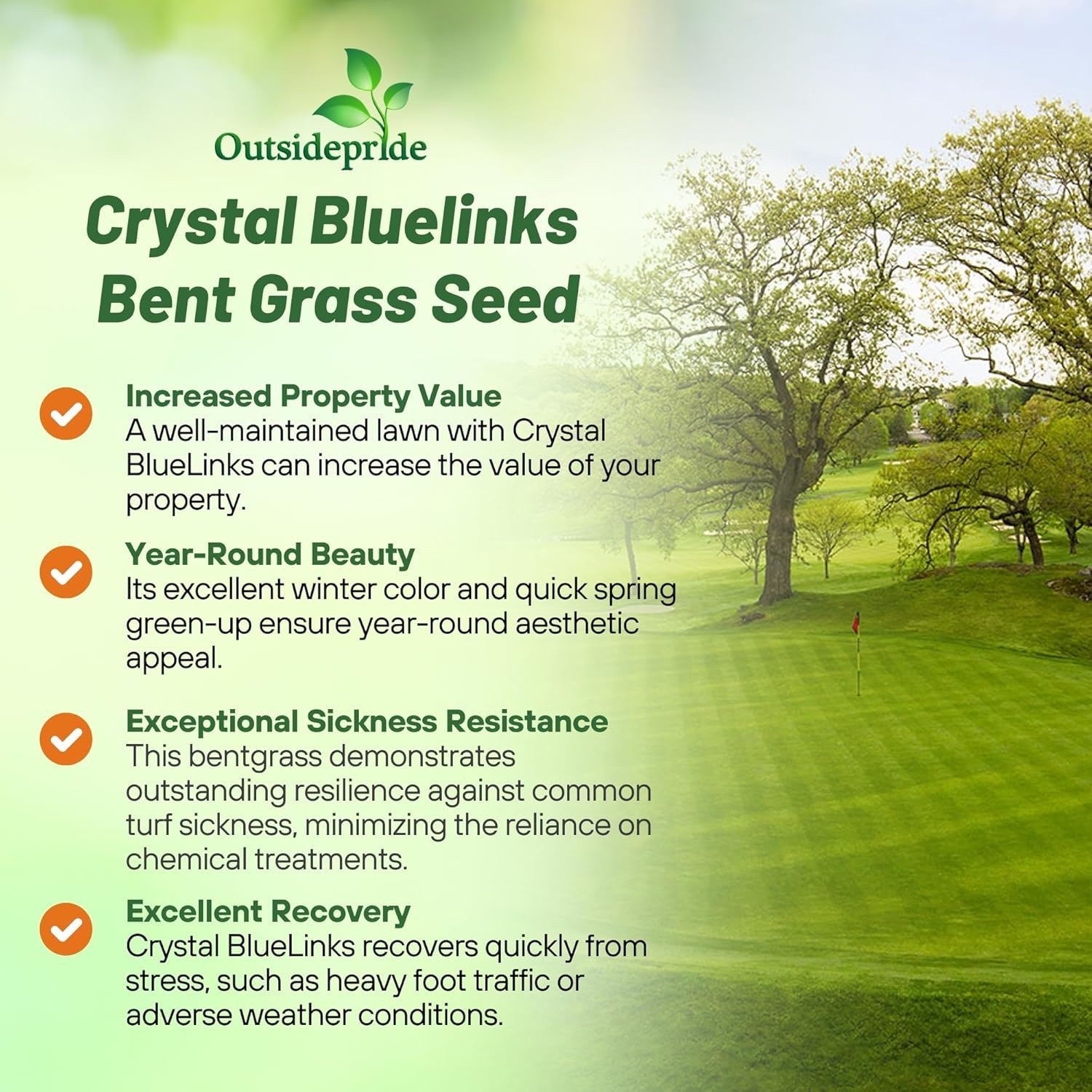 Outsidepride Crystal Bluelinks Creeping Bent Grass Seed - 25 lbs. Dense Turf Grass