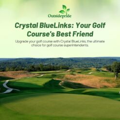 Outsidepride Crystal Bluelinks Creeping Bent Grass Seed - 25 lbs. Dense Turf Grass
