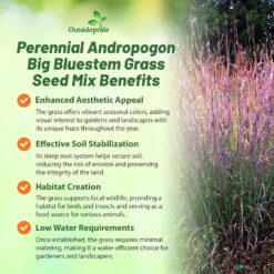 Outsidepride Perennial Andropogon Big Bluestem Grass Seed - 25 lbs. Warm Season, Drought Resistant, Native Prairie Grass Seed