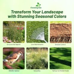 Outsidepride Perennial Andropogon Big Bluestem Grass Seed - 25 lbs. Warm Season, Drought Resistant, Native Prairie Grass Seed