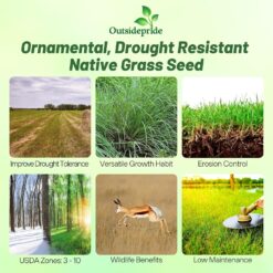 Outsidepride Perennial Little Bluestem Grass Seed - 25 lbs. Warm Season, Drought Resistant, Long-Lived Native Prairie Grass Seed