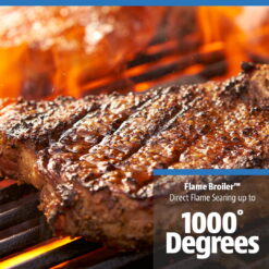 Pit Boss 500 Sq in Wood Pellet Grill - FB2 Series
