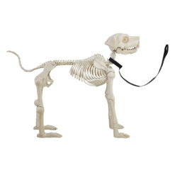 Animated Skeleton Dog with Light Up Eyes, 4ft Height, Halloween by Way To Celebrate