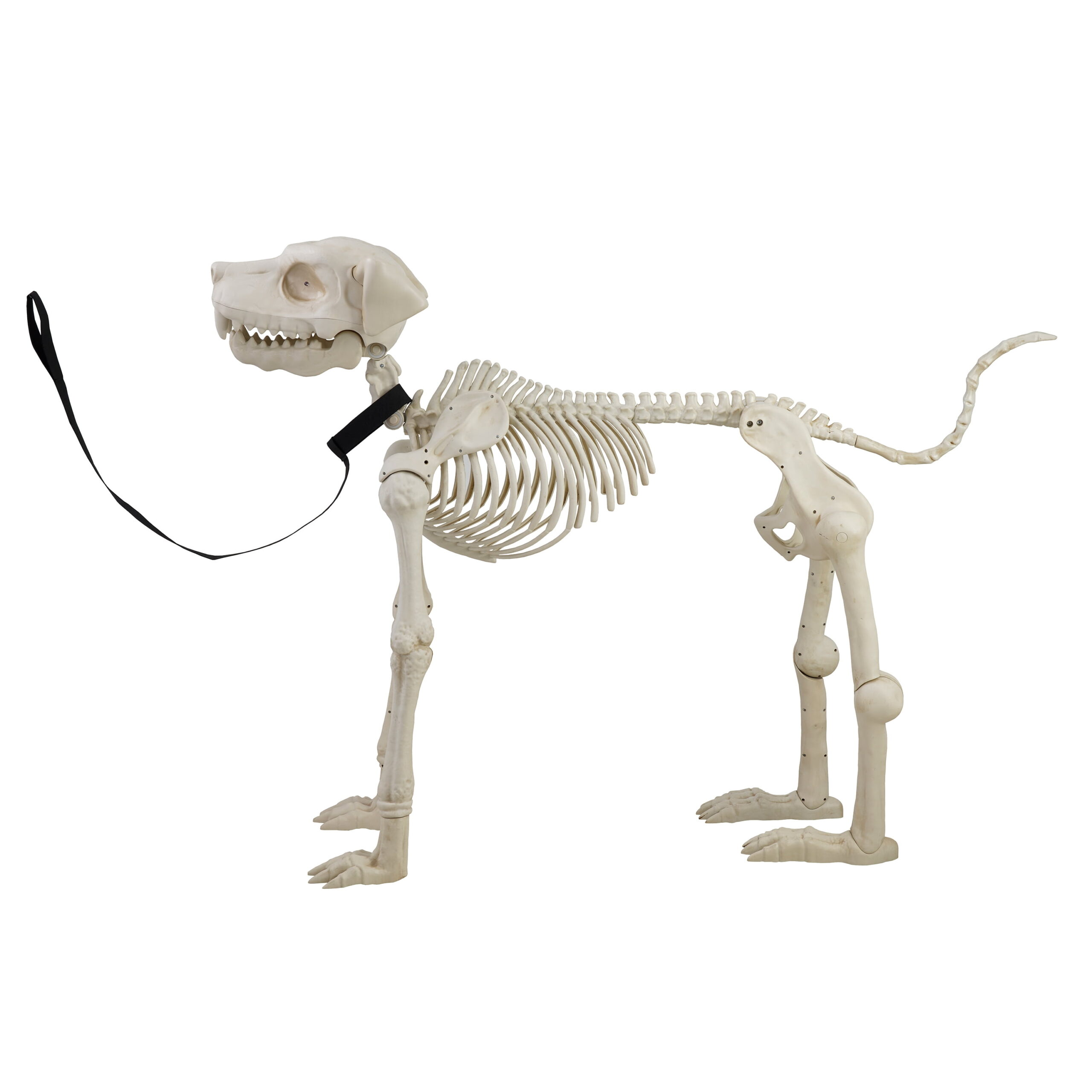Animated Skeleton Dog with Light Up Eyes, 4ft Height, Halloween by Way To Celebrate