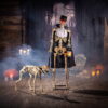 Fun Express 5ft. Animated Skeleton & 3ft. Dog Halloween Decoration