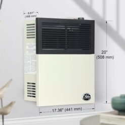 Ashley Hearth Products New 11,000 BTU Direct Vent Propane Wall Mount Heater