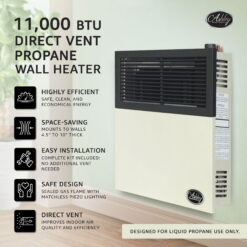 Ashley Hearth Products New 11,000 BTU Direct Vent Propane Wall Mount Heater