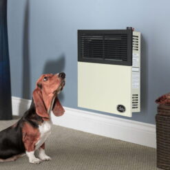 Ashley Hearth Products New 11,000 BTU Direct Vent Propane Wall Mount Heater