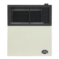 Ashley Hearth Products New 11,000 BTU Direct Vent Propane Wall Mount Heater