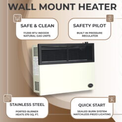 Ashley Hearth 17,000 Btu Direct Vent Propane Heater