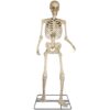 Haunted Living 10-ft Poseable Skeleton Decoration