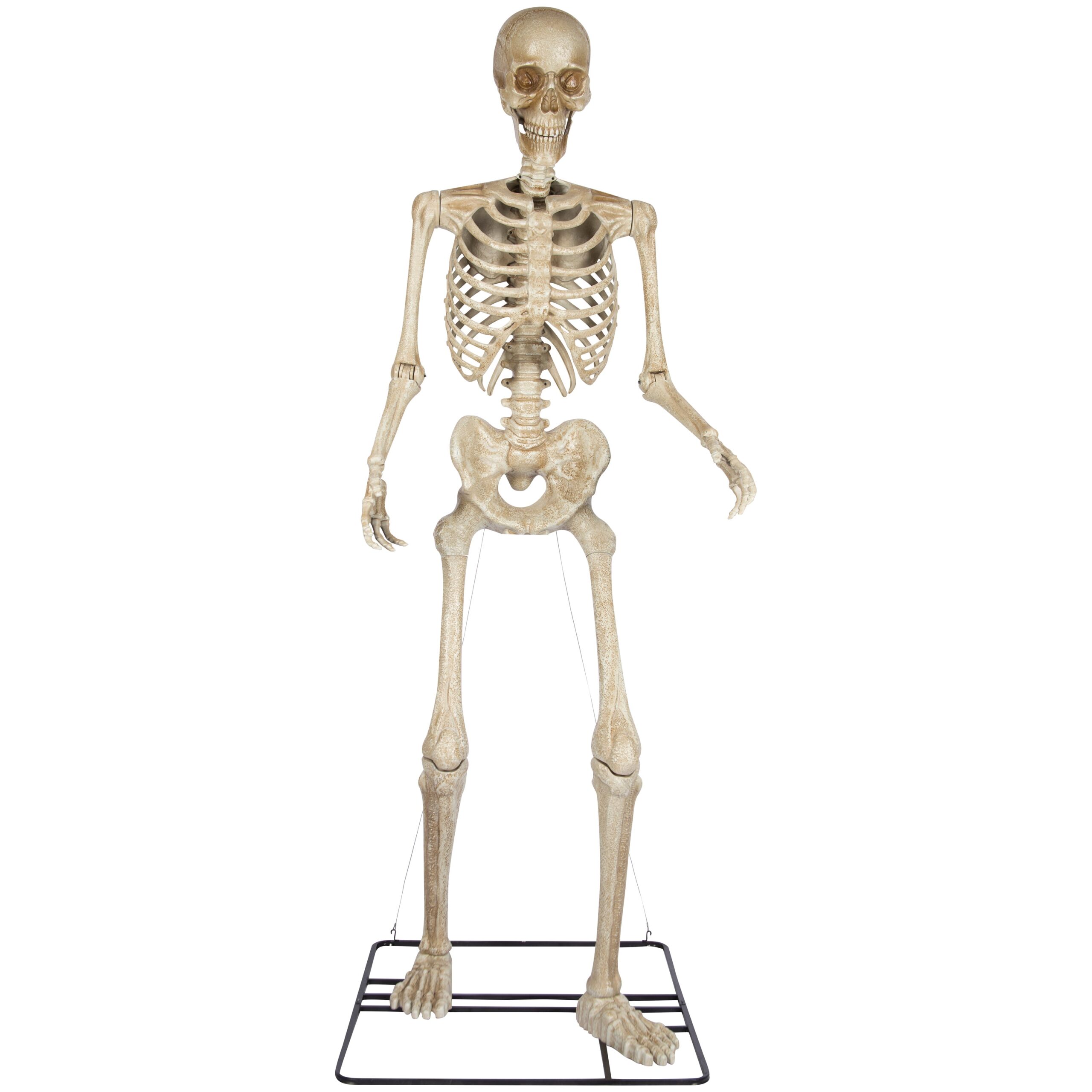 Haunted Living 10-ft Poseable Skeleton Decoration