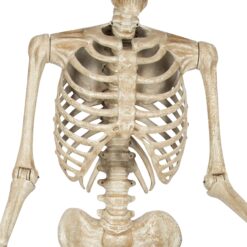 Haunted Living 10-ft Poseable Skeleton Decoration