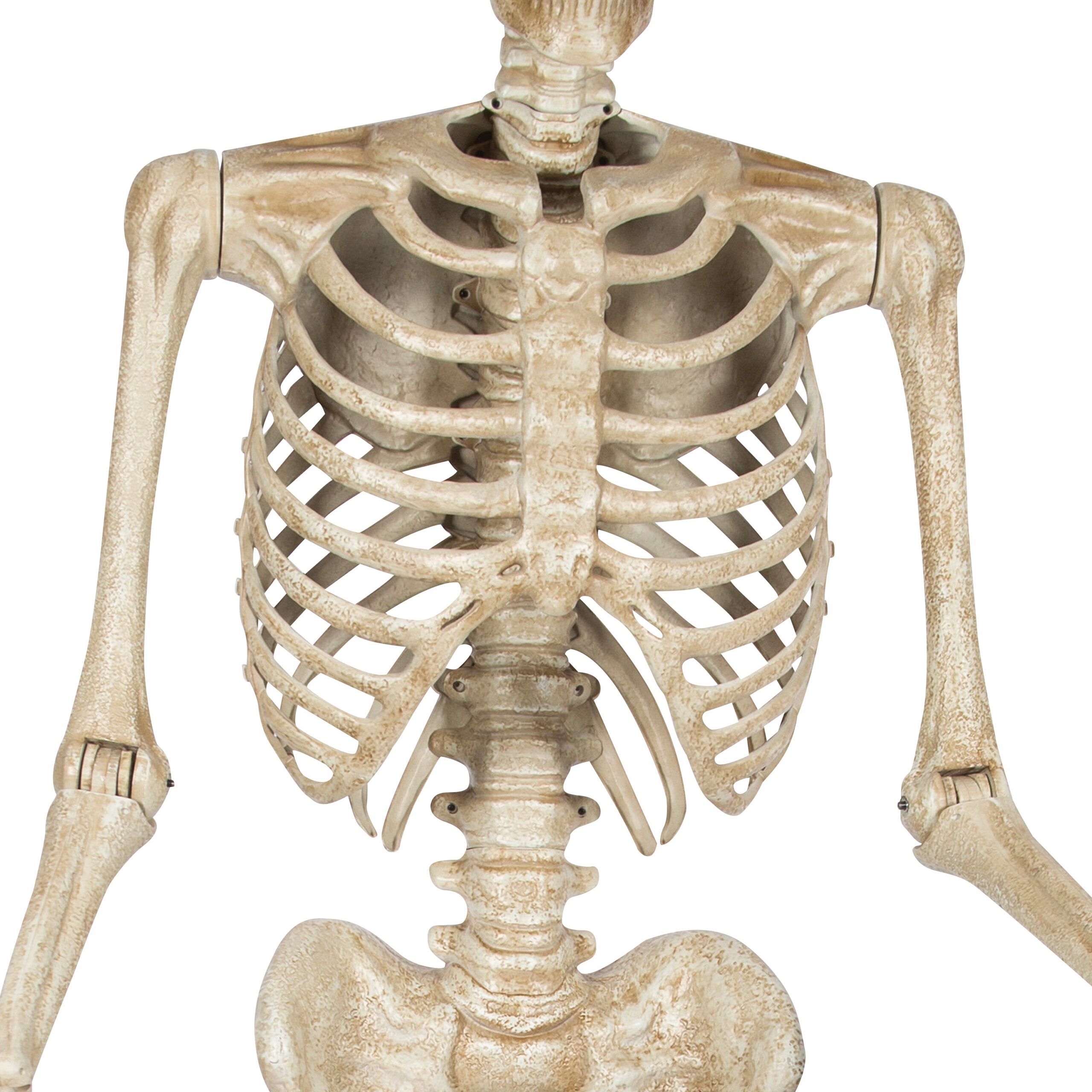 Haunted Living 10-ft Poseable Skeleton Decoration