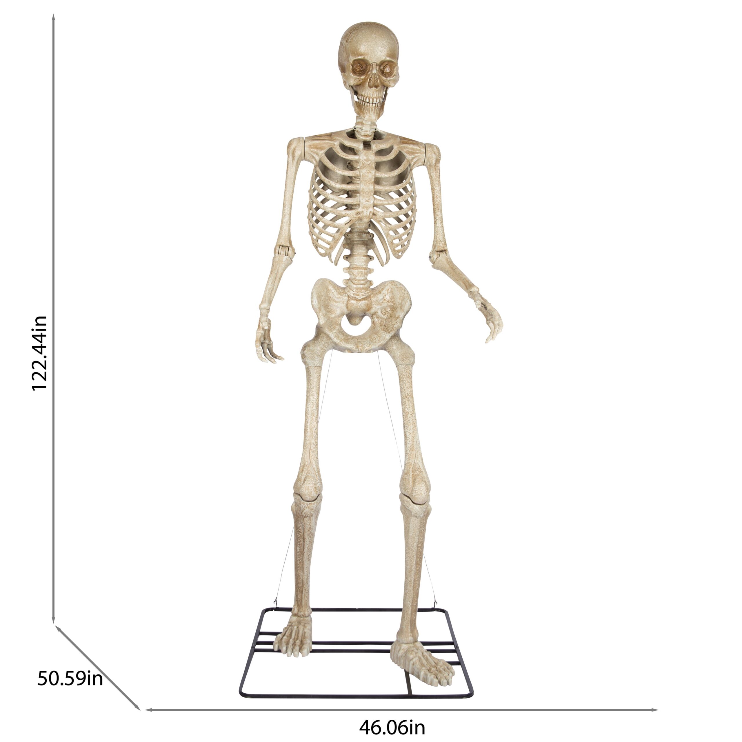 Haunted Living 10-ft Poseable Skeleton Decoration