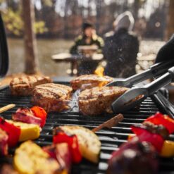 Weber Traveler Compact 240-Sq. in Black Portable Liquid propane Grill