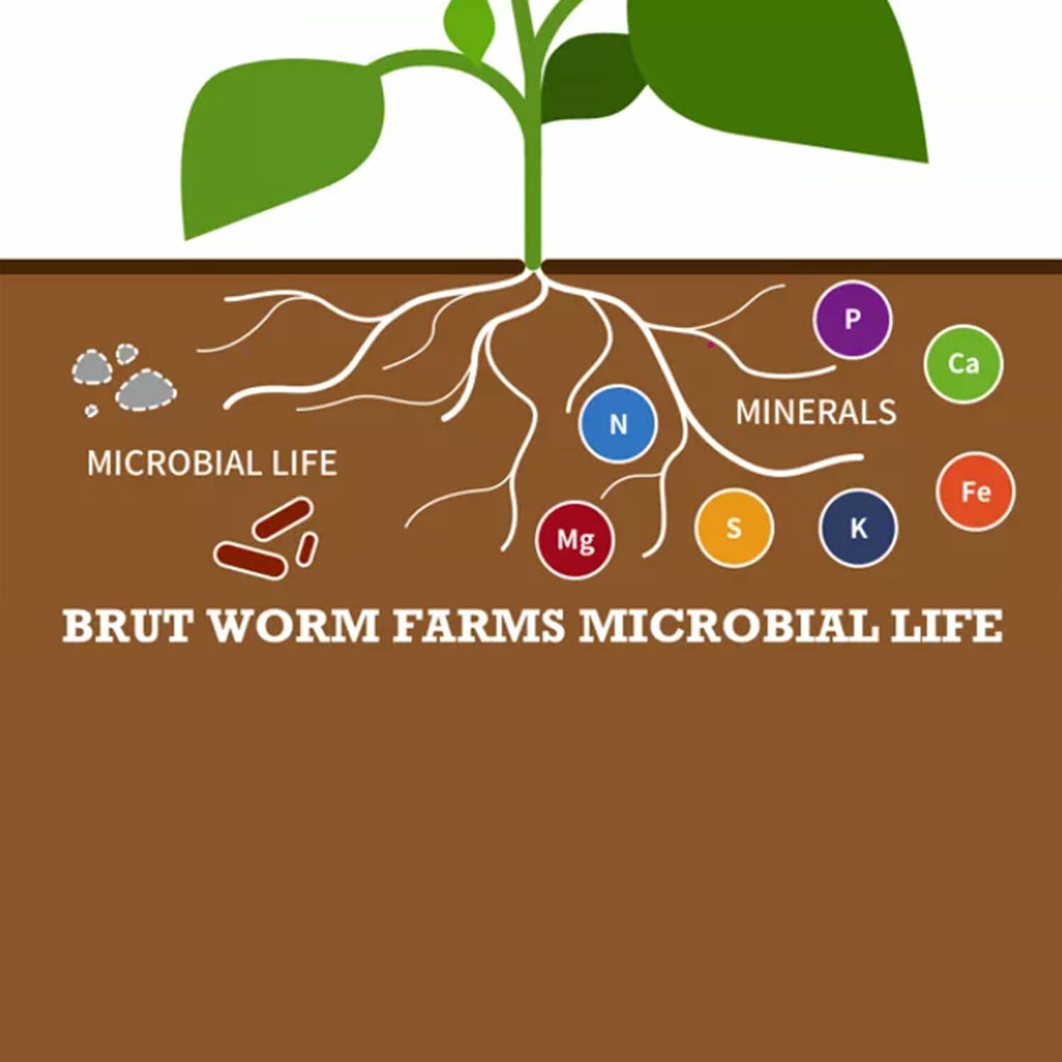 Brut Worm Farms 23.1 Quart(s) All-purpose Organic Potting soil mix