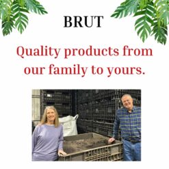 Brut Worm Farms 23.1 Quart(s) Fruit flower and vegetable Organic Potting soil mix