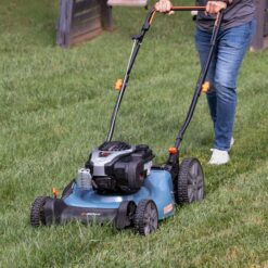 SENIX 21-in Gas Push lawn mower with 140-cc Briggs and Stratton Engine