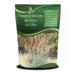 Outsidepride Indian Native Grass Seed - 25 lbs. Perennial, Low Maintenance, Drought-Tolerant Prairie Grass Seed