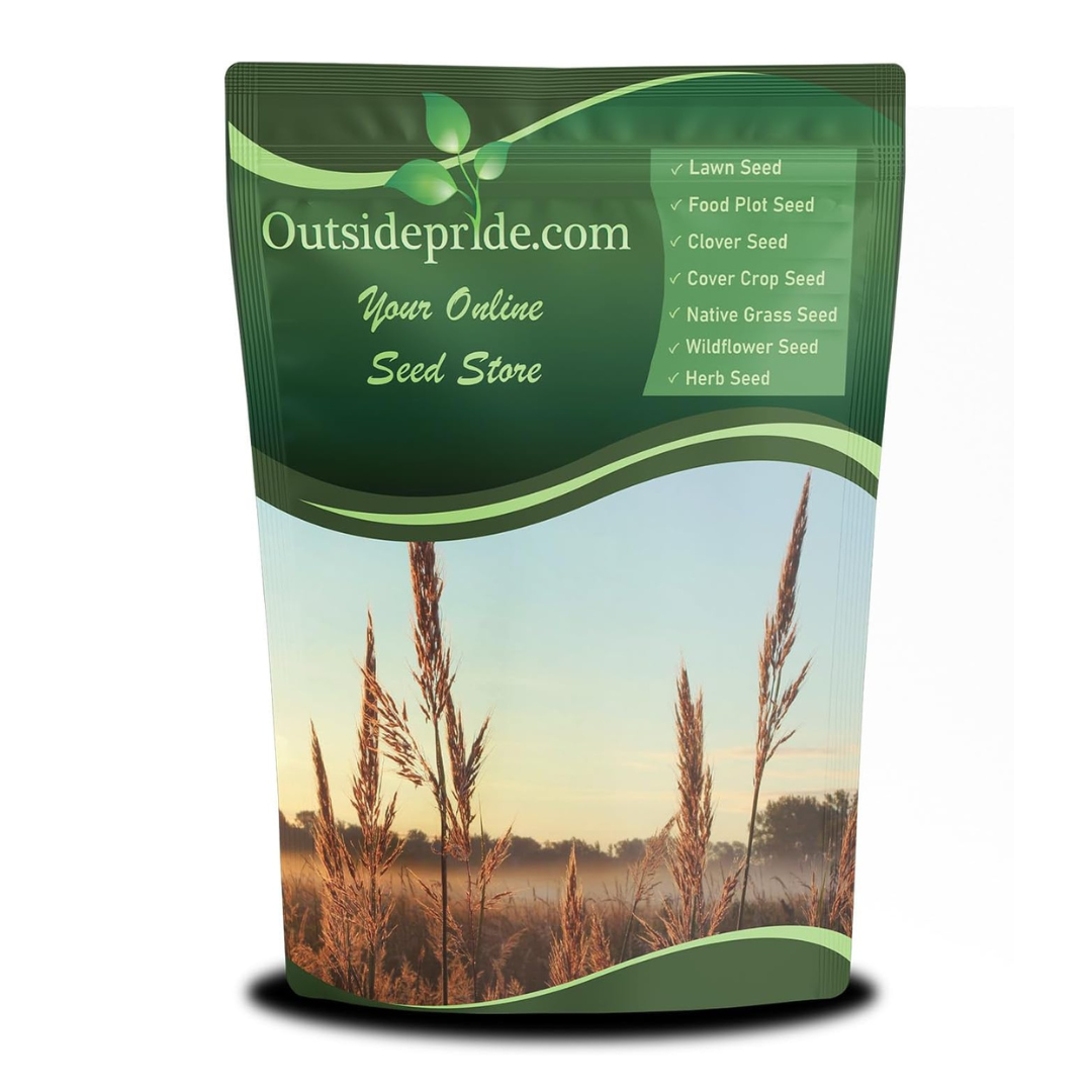 Outsidepride Perennial Andropogon Big Bluestem Grass Seed - 25 lbs. Warm Season, Drought Resistant, Native Prairie Grass Seed