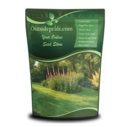 Outsidepride Sheeps Fine Fescue Lawn Grass Seed - 50 Lbs. Perennial Heat & Drought Tolerant Dense, Traffic-Resistant Turf