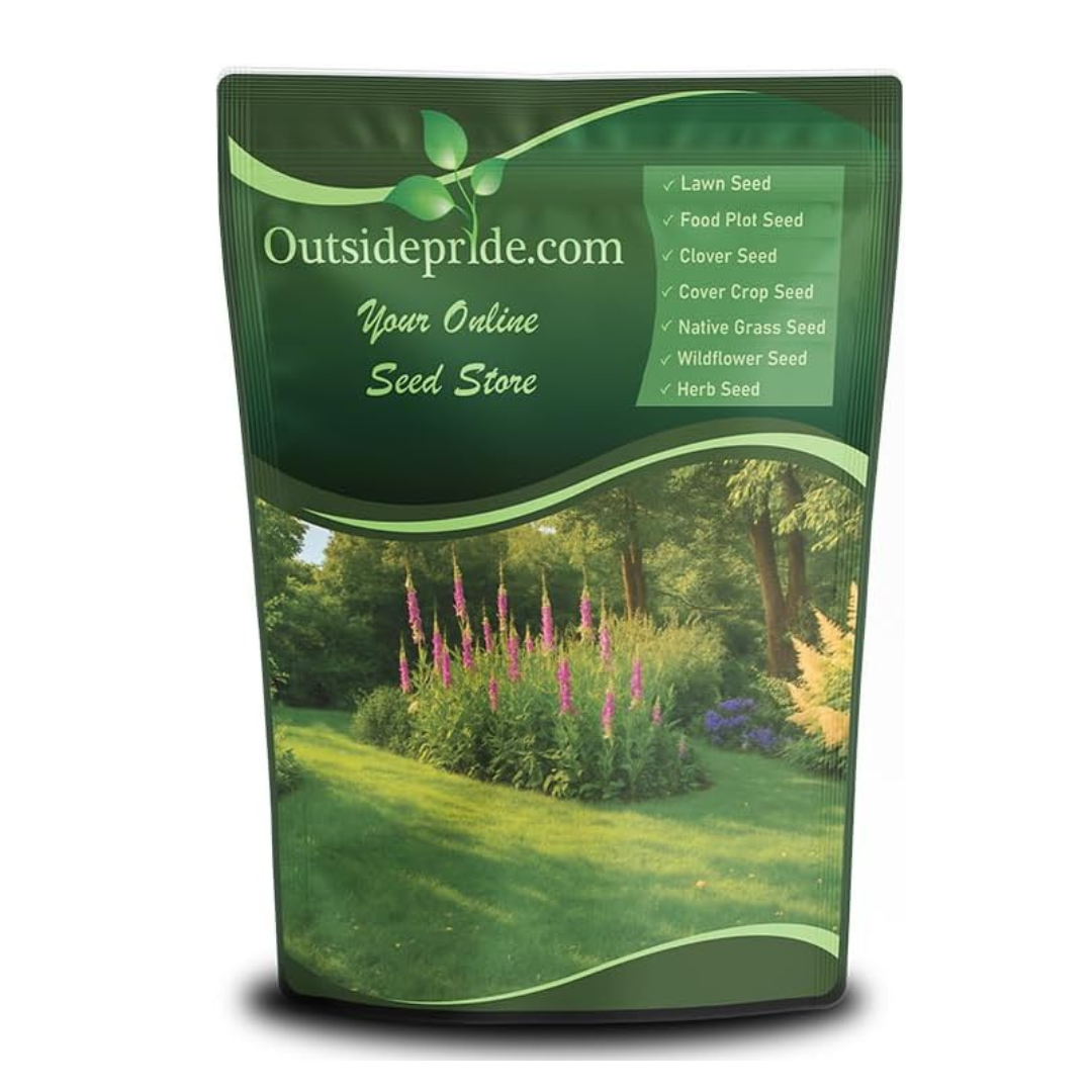 Outsidepride Sheeps Fine Fescue Lawn Grass Seed - 50 Lbs. Perennial Heat & Drought Tolerant Dense, Traffic-Resistant Turf