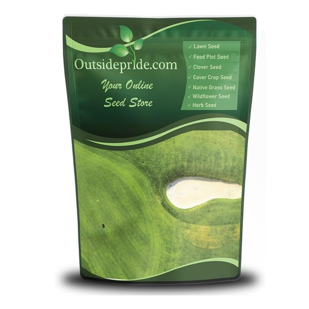 Outsidepride Oasis Bermuda Grass Seed - 50 lbs Warm Season, High Traffic, Heat Resistant, Drought-Tolerant, Low-Maintenance, Fast Growing Turf Grass