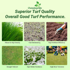 Outsidepride Royal TXD Bermuda Grass Seed Blend - 25 lbs. Warm Season, Fast Growing Turf Grass Seeds: Heat & Drought Tolerant