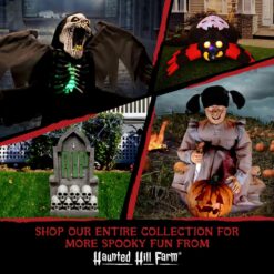 Haunted Hill Farm 3.5-ft Freestanding Witch Porch decoration