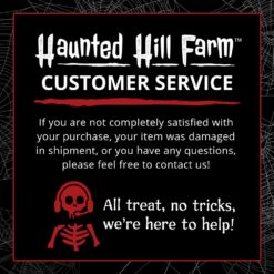 Haunted Hill Farm 3.5-ft Freestanding Witch Porch decoration