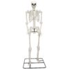 Haunted Living 10-ft Poseable Skeleton Decoration
