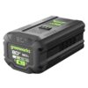 Greenworks 80 -Volt, 5 Ah 1 -Pack Lithium Ion (Li-ion) Battery