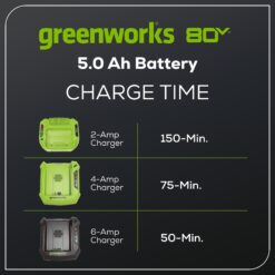 Greenworks 80 -Volt, 5 Ah 1 -Pack Lithium Ion (Li-ion) Battery