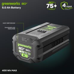 Greenworks 80 -Volt, 5 Ah 1 -Pack Lithium Ion (Li-ion) Battery