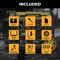 Firman WH03562OF Electric Start 120V Open Frame 4400 -Watt Dual Fuel (Gasoline/Propane) Inverter Generator