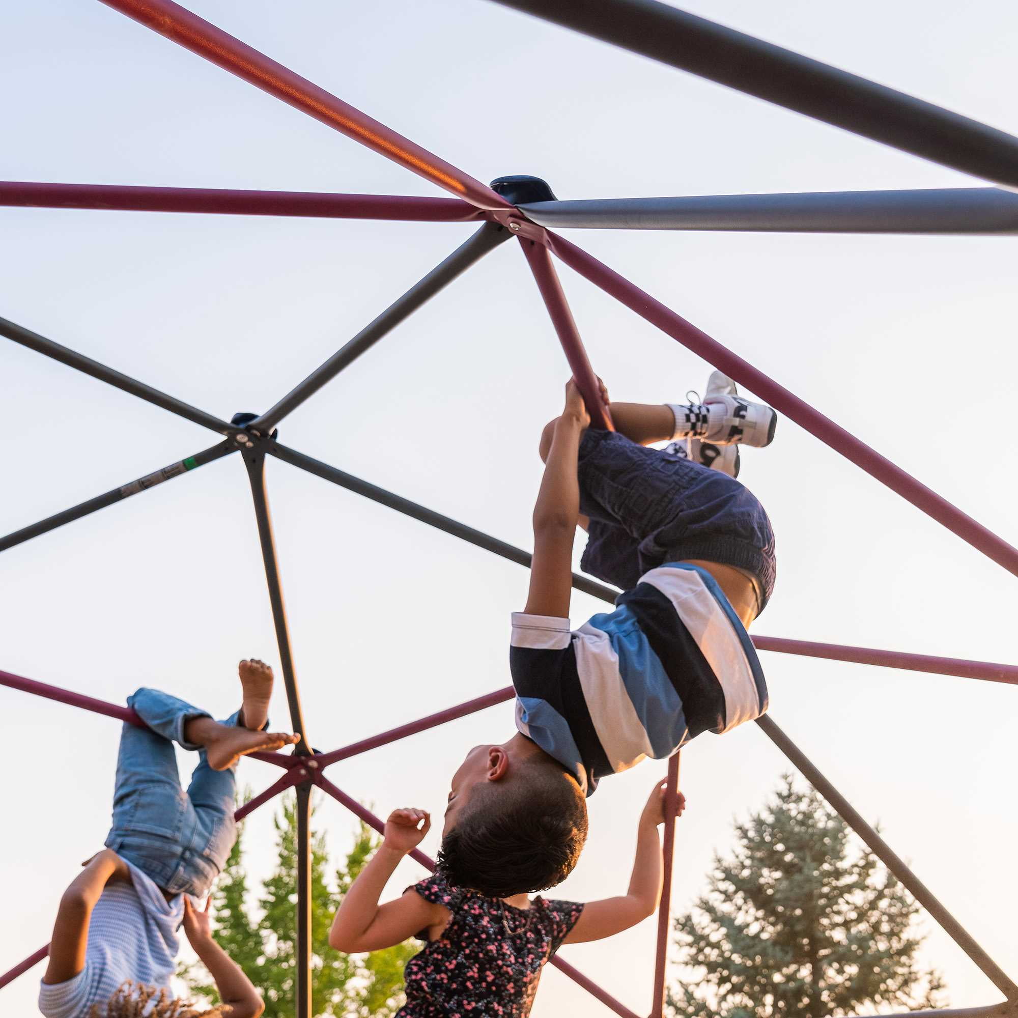 Lifetime Kid's Outdoor 5.5 ft. H x 11 ft. W Dome Climber, Berry and Brown (91088)