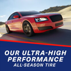 BFGoodrich g-Force COMP-2 A/S+ All Season 215/45ZR17 91W XL Passenger Tire