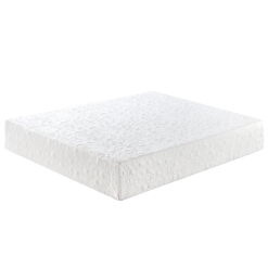 Zinus Spa Sensations Serenity 10