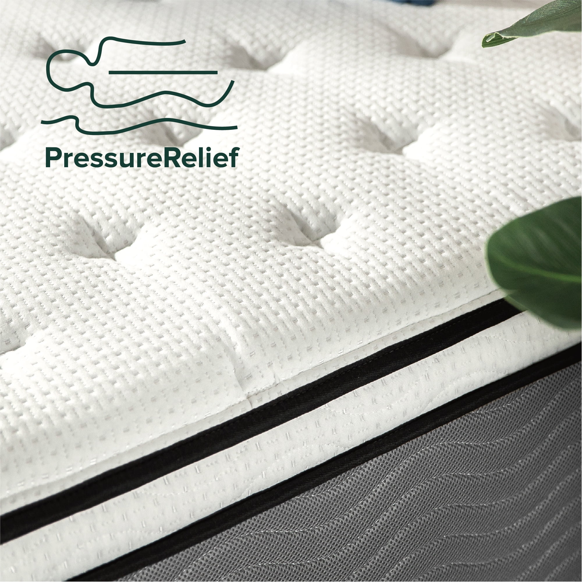 Zinus Support Plus 12" King Euro Top Medium Hybrid Mattress with Comfort Foam and Pocket Springs
