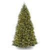 National Tree Company 10-ft Dunhill fir Pre-lit Artificial Christmas Tree LED Lights