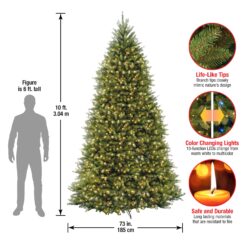 National Tree Company 10-ft Dunhill fir Pre-lit Artificial Christmas Tree LED Lights