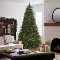 National Tree Company 10-ft Dunhill fir Pre-lit Artificial Christmas Tree LED Lights