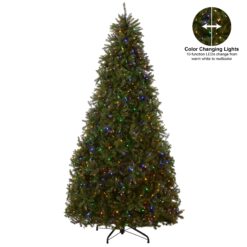 National Tree Company 10-ft Dunhill fir Pre-lit Artificial Christmas Tree LED Lights
