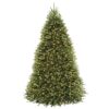 National Tree Company 9-ft Dunhill fir Pre-lit Artificial Christmas Tree LED Lights