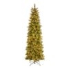 National Tree Company 9-ft Carolina pine Pre-lit Slim Flocked Artificial Christmas Tree with White Incandescent Lights